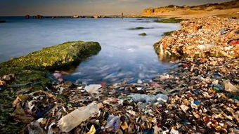 海洋塑料垃圾危害